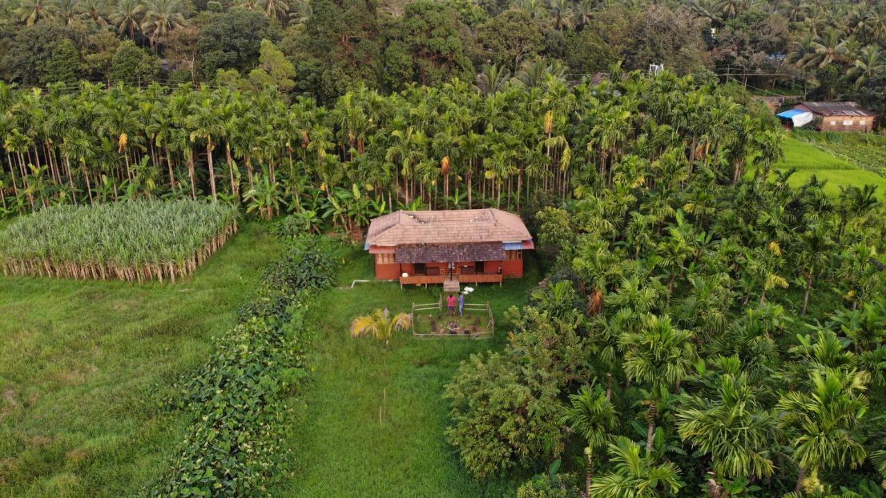 Ibbani Homestay, Siddapur 外观 照片