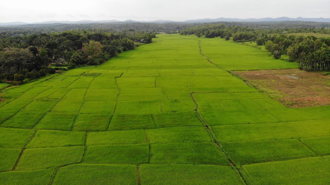 Ibbani Homestay, Siddapur 外观 照片
