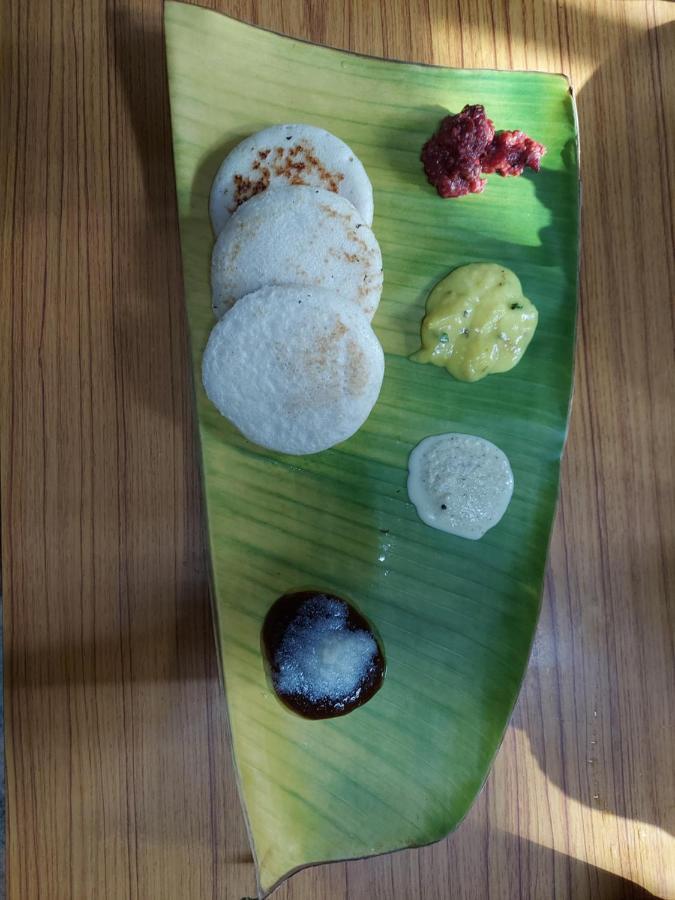 Ibbani Homestay, Siddapur 外观 照片