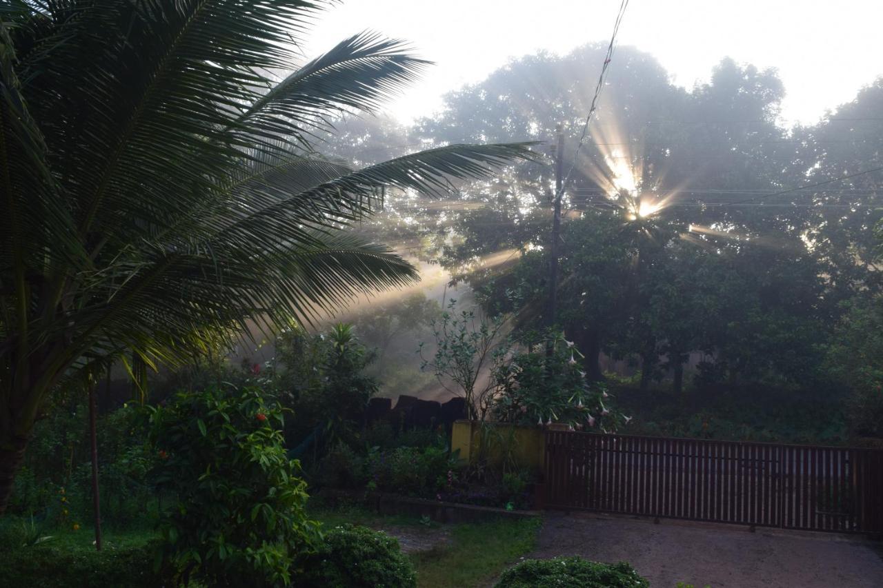 Ibbani Homestay, Siddapur 外观 照片