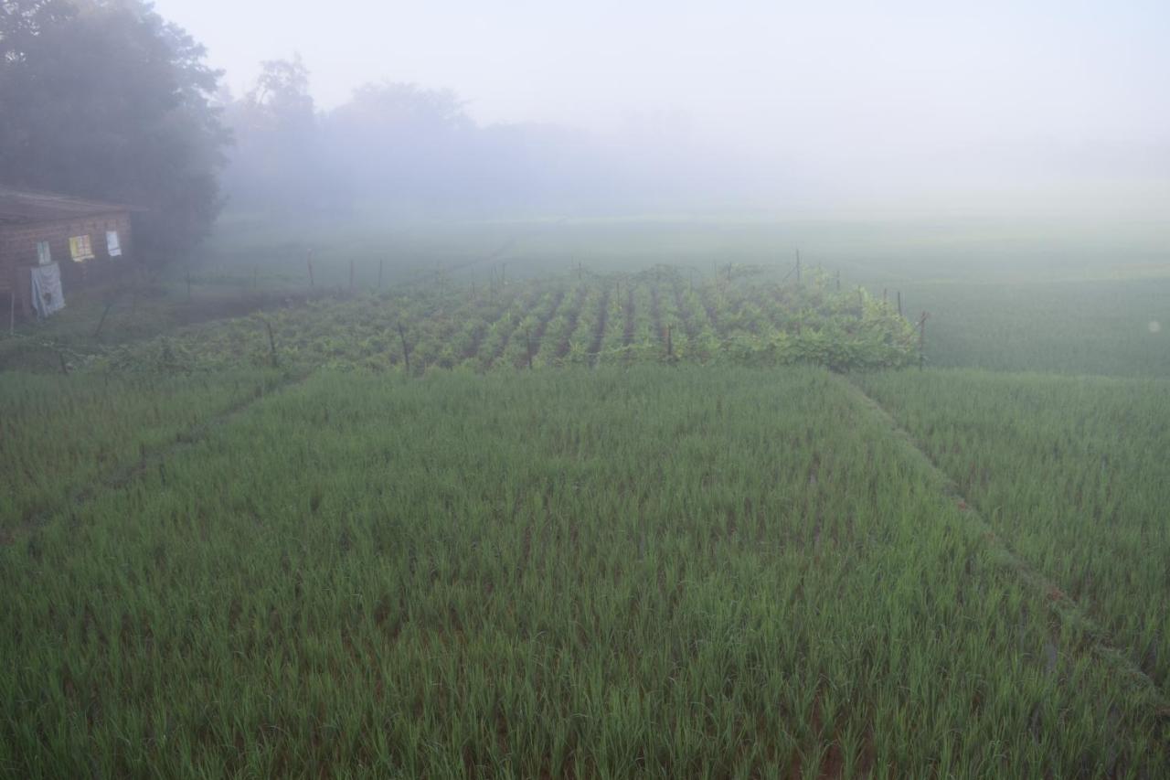 Ibbani Homestay, Siddapur 外观 照片