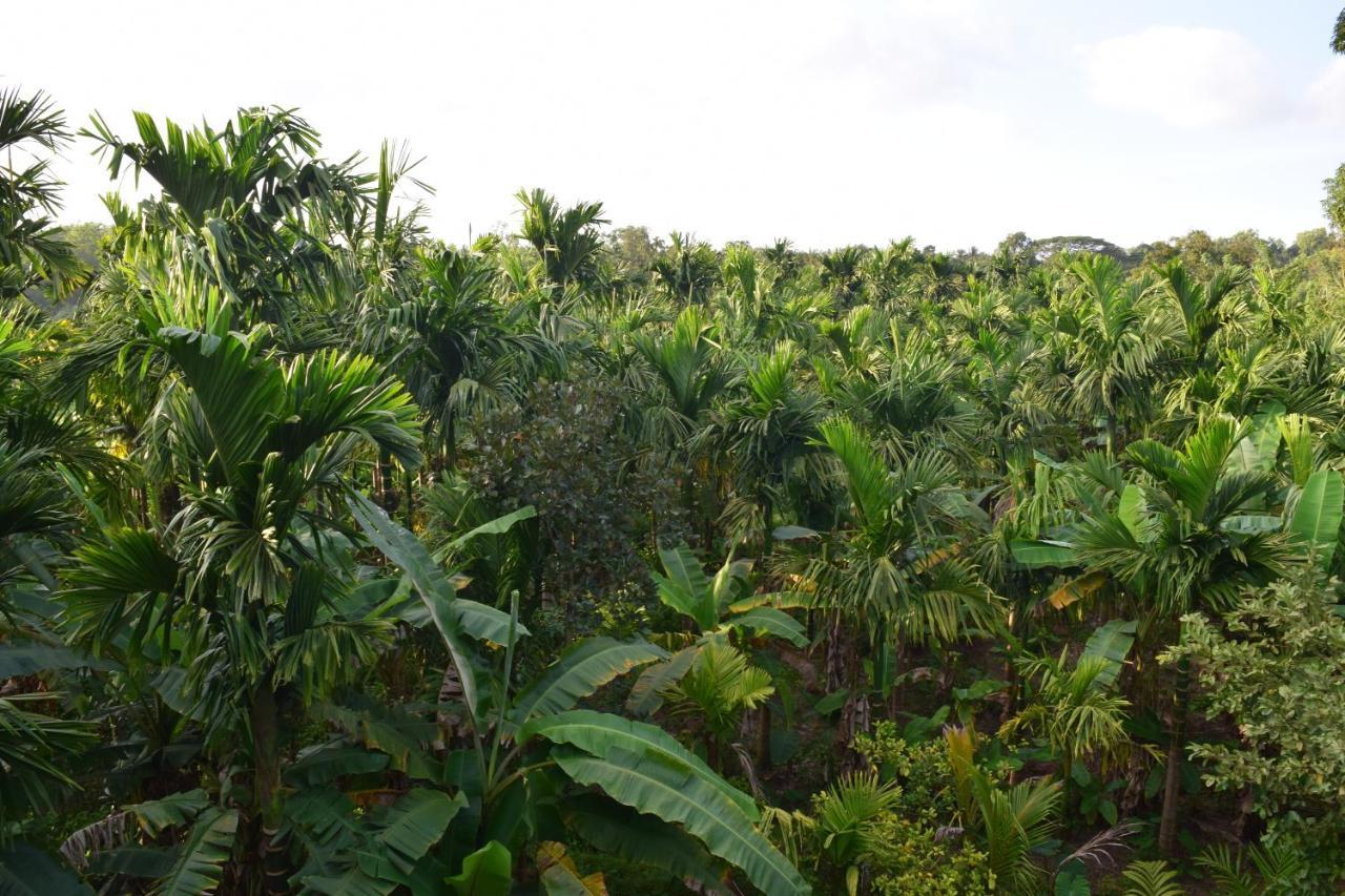 Ibbani Homestay, Siddapur 外观 照片
