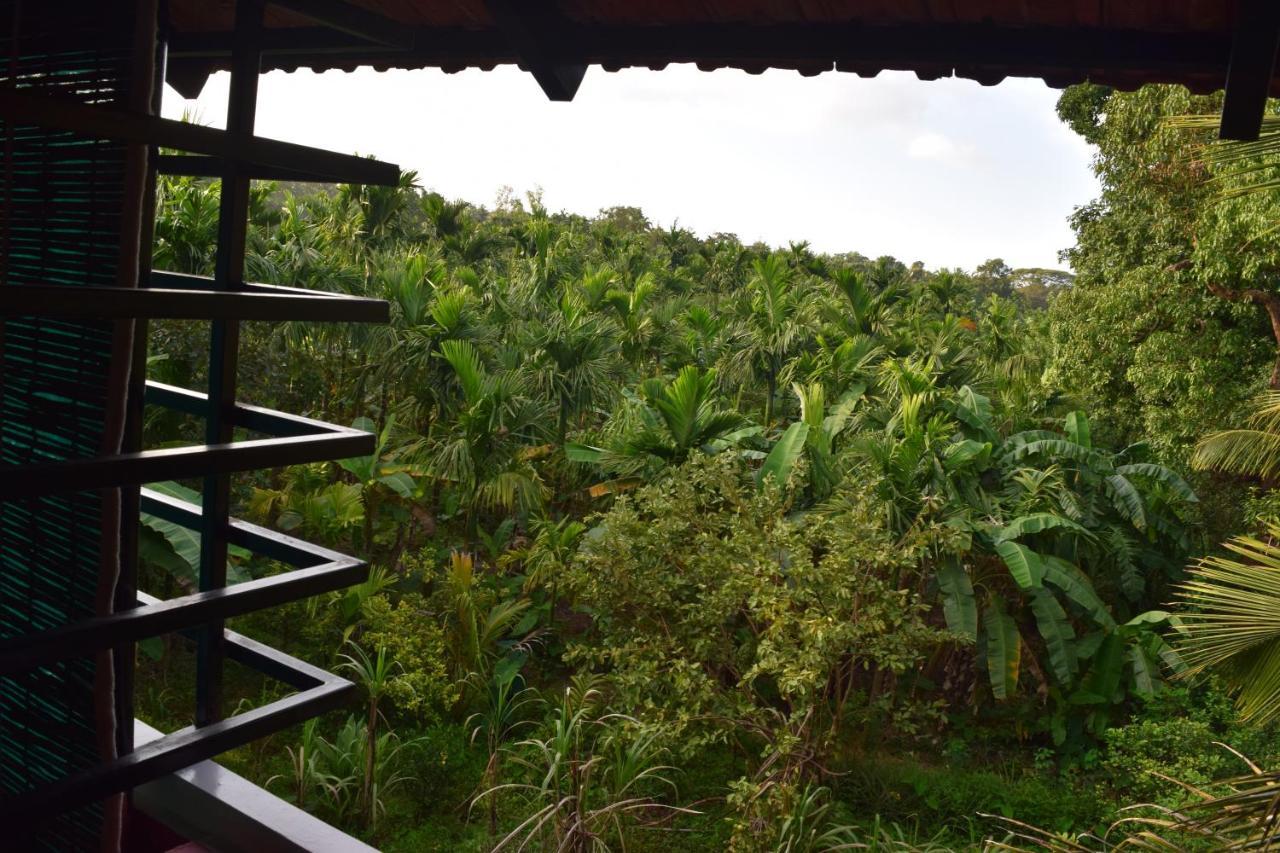 Ibbani Homestay, Siddapur 外观 照片