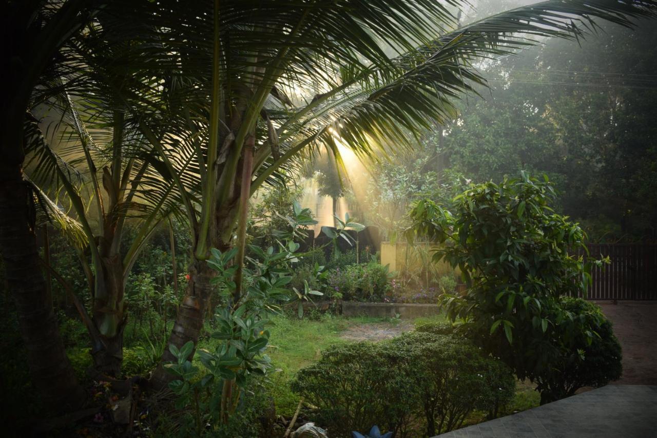 Ibbani Homestay, Siddapur 外观 照片