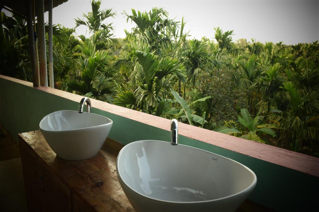 Ibbani Homestay, Siddapur 外观 照片