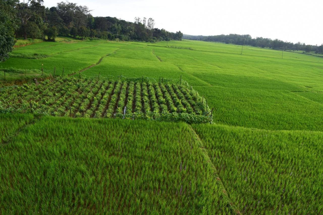 Ibbani Homestay, Siddapur 外观 照片