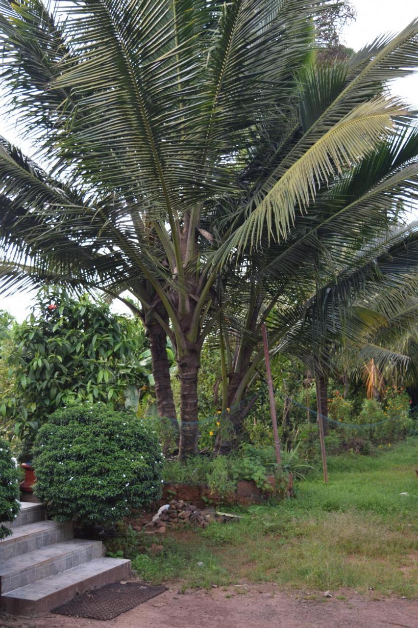 Ibbani Homestay, Siddapur 外观 照片