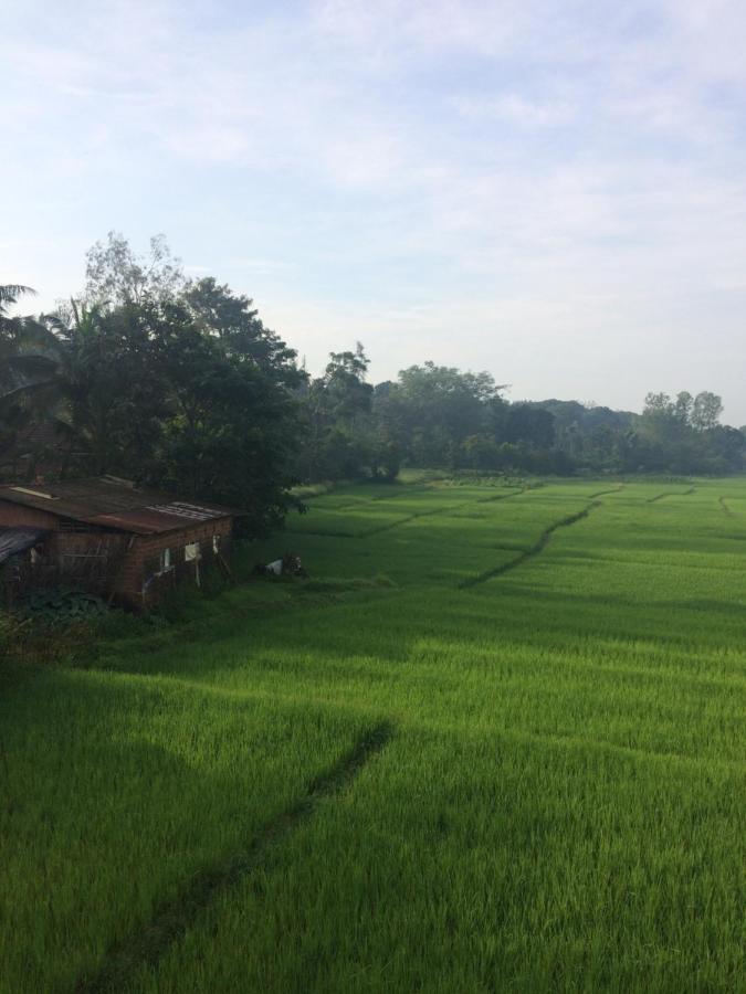 Ibbani Homestay, Siddapur 外观 照片
