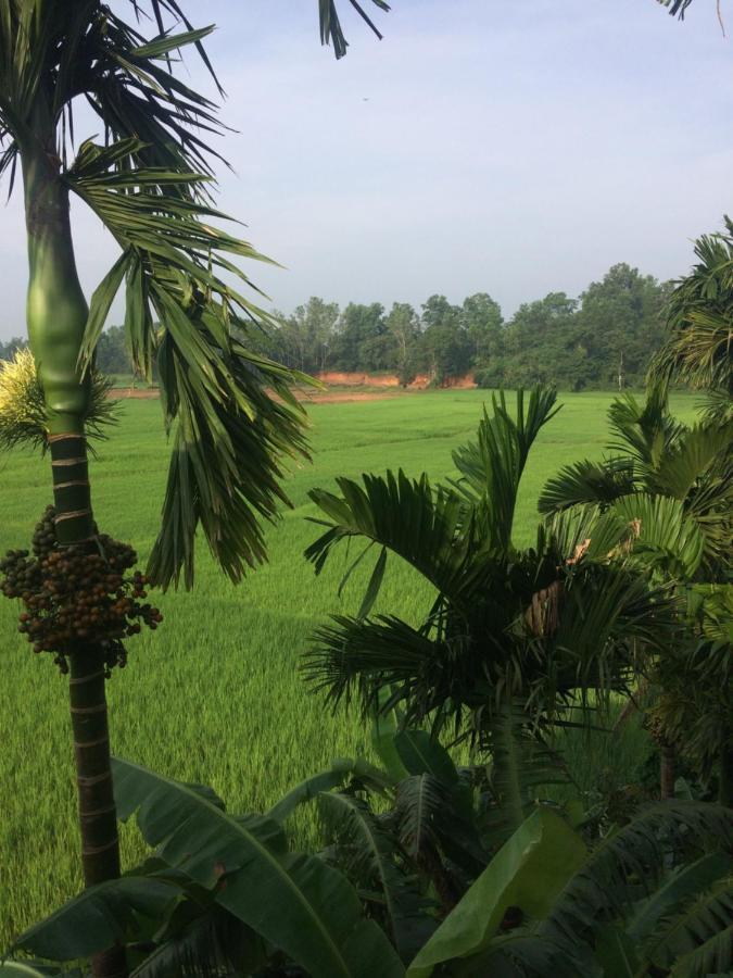 Ibbani Homestay, Siddapur 外观 照片