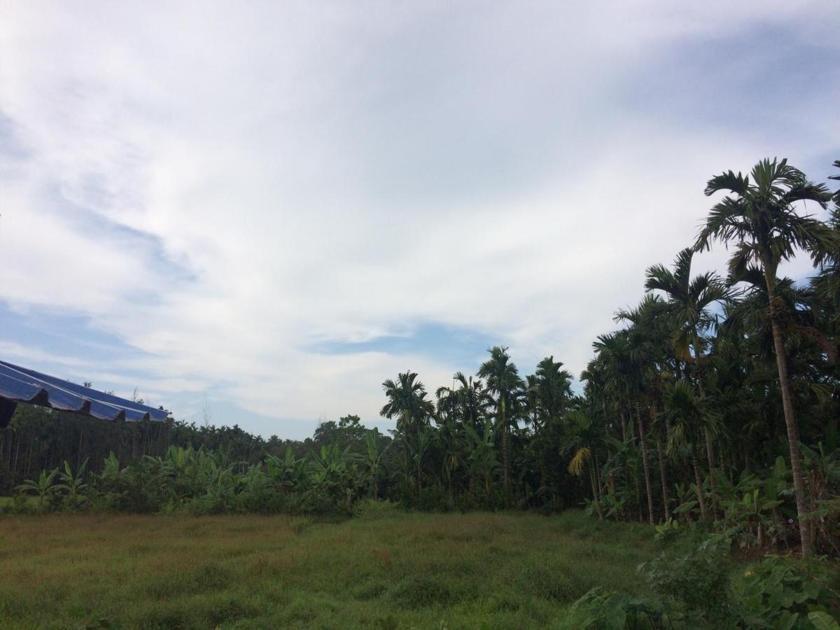 Ibbani Homestay, Siddapur 外观 照片